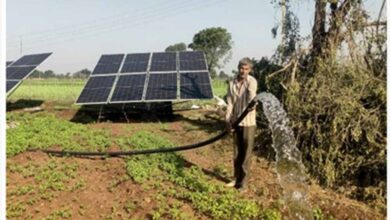 प्रदेश के 52 हजार किसानों के खेत अब लहलहाएंगे सोलर पंप से