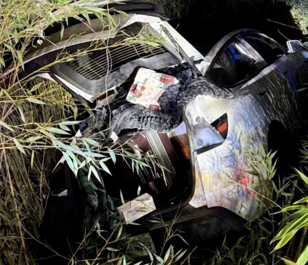 कौन हैं विक्रम बेरी? टेस्ला फैक्ट्री में आग लगाने की कोशिश के आरोप में भारतीय मूल का करोड़पति गिरफ्तार