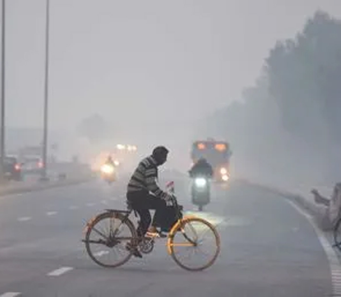 यूपी में ठंड का डबल वार: घना कोहरा और शीतलहर, मौसम विभाग का अलर्ट