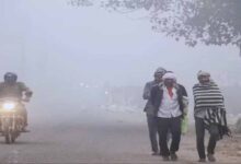 MP Weather Alert: ग्वालियर-चंबल समेत 20 जिलों में घना कोहरा, ऑरेंज-येलो अलर्ट जारी