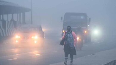 शीतलहर का कहर: बिहार के 14 जिलों में Cold Day, जनजीवन बेहाल