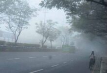 छत्तीसगढ़ के उत्तर में कोहरे का अलर्ट, रायपुर में शीतलहर की संभावना