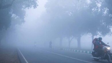 घने कोहरे में सड़क सुरक्षा को लेकर परिवहन आयुक्त की एडवाइजरी, जिले में सतर्कता के निर्देश