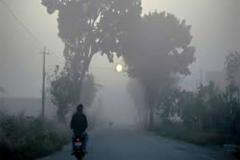 झारखंड में मौसम स्थिर, सुबह घना कोहरा और रात की ठंड बरकरार; IMD ने ड्राइवर्स के लिए जारी की एडवाइजरी झारखंड में मौसम स्थिर, सुबह घना कोहरा और रात की ठंड बरकरार; IMD ने ड्राइवर्स के लिए जारी की एडवाइजरी