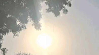 बिहार में कड़ाके की ठंड, कुछ इलाकों में तापमान पहुंच सकता है 3 डिग्री तक बिहार में कड़ाके की ठंड, कुछ इलाकों में तापमान पहुंच सकता है 3 डिग्री तक