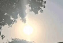 सर्दी का असर बढ़ा: IMD की चेतावनी, दो दिन तक कोहरे की चादर, ठंड से बेहाल जिले