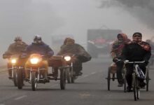 एमपी में कोहरे और सर्दी का कहर: दतिया-रीवा में 50 मीटर विजिबिलिटी, पचमढ़ी सबसे ठंडा