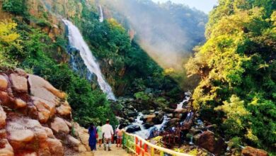 नववर्ष पर सैलानियों से आबाद हुआ झारखंड का लोध फॉल, सबसे ऊंचे जलप्रपात की खूबसूरती ने मोहा मन