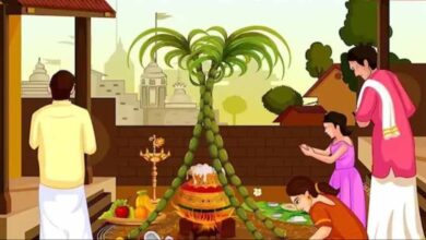 पोंगल 2026: 13 या 14 जनवरी? तारीख को लेकर पूरा कंफ्यूजन यहां करें दूर