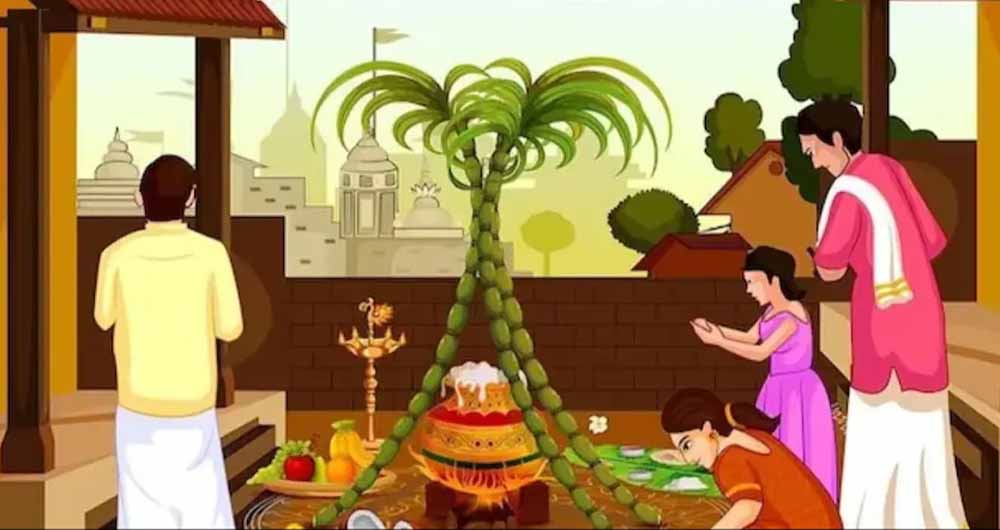 पोंगल 2026: 13 या 14 जनवरी? तारीख को लेकर पूरा कंफ्यूजन यहां करें दूर