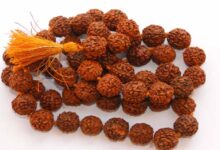 रुद्राक्ष धारण करने से पहले जान लें ये जरूरी नियम, नहीं तो नहीं मिलेगा पूरा फल