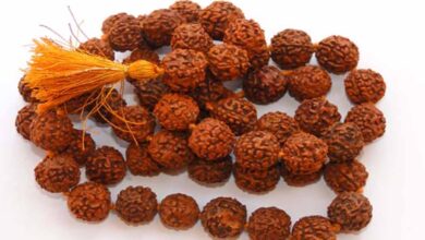 रुद्राक्ष धारण करने से पहले जान लें ये जरूरी नियम, नहीं तो नहीं मिलेगा पूरा फल