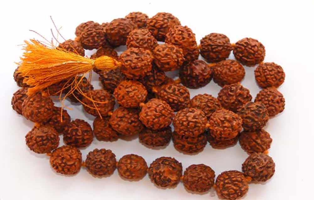 रुद्राक्ष धारण करने से पहले जान लें ये जरूरी नियम, नहीं तो नहीं मिलेगा पूरा फल
