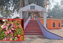 बैगन चढ़ाओ, मन्नत पाओ! बिहार के इस अनोखे शिवधाम में खेती से जुड़ी है भोलेनाथ की आस्था