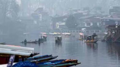 श्रीनगर में पर्यटकों की भीड़, मौसम का लुत्फ लेने पहुंच रहे लोग श्रीनगर में पर्यटकों की भीड़, मौसम का लुत्फ लेने पहुंच रहे लोग