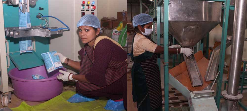 सशक्त मानसिकता से आत्मनिर्भरता की ओर- पोषण निर्माण में अहम भूमिका निभा रही हैं सूरजपुर की महिलाएं सशक्त मानसिकता से आत्मनिर्भरता की ओर- पोषण निर्माण में अहम भूमिका निभा रही हैं सूरजपुर की महिलाएं