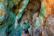 कांगेर घाटी में मिली अनोखी “ग्रीन गुफा”,जल्द खुलेंगे छत्तीसगढ़ में पर्यटन के नए द्वार