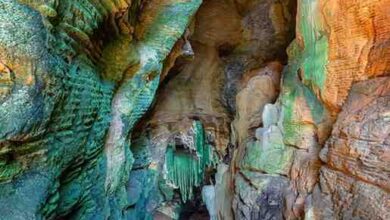 कांगेर घाटी में मिली अनोखी “ग्रीन गुफा”,जल्द खुलेंगे छत्तीसगढ़ में पर्यटन के नए द्वार