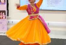 छत्तीसगढ़ की कला आयरलैंड तक पहुँचना गौरव का विषय : मुख्यमंत्री विष्णु देव साय