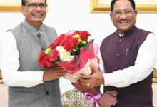 वीबी-जीरामजी के प्रभावी क्रियान्वयन हेतु छत्तीसगढ़ की तैयारियों की केंद्रीय मंत्री शिवराज सिंह चौहान ने की सराहना