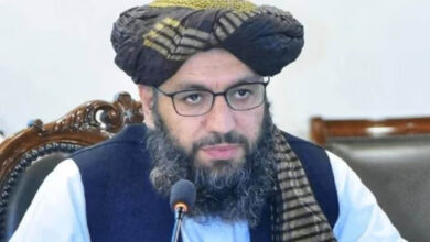 नूर अहमद नूर की भारत में नियुक्ति: अफगानिस्तान-भारत संबंधों के नए अध्याय की शुरुआत