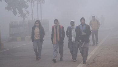 दतिया में 5.4 डिग्री तापमान, ग्वालियर-चंबल में घना कोहरा, ट्रेनें लेट दतिया में 5.4 डिग्री तापमान, ग्वालियर-चंबल में घना कोहरा, ट्रेनें लेट