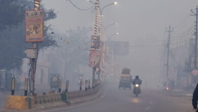 MP Weather Update: प्रदेश में तेज ठंड और कोहरे का असर, संक्रांति के बाद मावठा गिरने के आसार