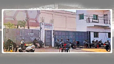 स्लॉटर हाउस कांड: दुधारू भैंसों को काटने का चौंकाने वाला सच, बछड़े और पाड़ों के अवशेष मिले