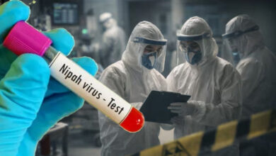 बंगाल में निपाह वायरस का डर, 2 लोग अस्पताल में भर्ती; CS ने SOPलागू करने का किया आह्वान