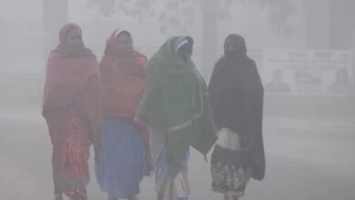 दिल्ली में ठंड ने तोड़ा 20 साल का रिकॉर्ड, जानें कब होगी बारिश और कहां बढ़ेगी ठिठुरन दिल्ली में ठंड ने तोड़ा 20 साल का रिकॉर्ड, जानें कब होगी बारिश और कहां बढ़ेगी ठिठुरन