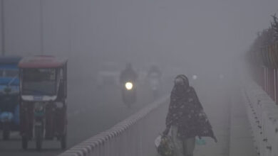 MP में पारा गिरकर 4.6 डिग्री, कोल्ड वेव का असर: भोपाल-इंदौर भी ठंडे, ग्वालियर-चंबल में कोहरा; 20 के बाद मावठा