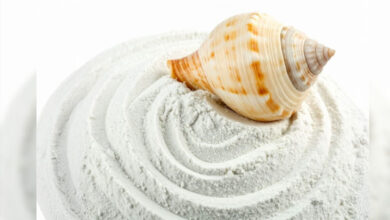 शंख भस्म: कैल्शियम से भरपूर, हड्डियों और जोड़ों को देती है नया जीवन