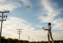 पतंगें बिजली लाइनों से दूर उड़ाने की अपील