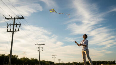 पतंगें बिजली लाइनों से दूर उड़ाने की अपील