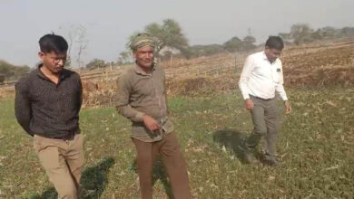 धमतरी : धमतरी जिले में फसल चक्र परिवर्तन एवं मृदा स्वास्थ्य सुदृढ़ीकरण की दिशा में महत्वपूर्ण पहल