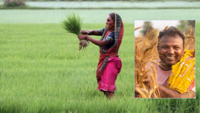 नए साल की गुड न्यूज: किसानों ने भरी झोली, चीन को छोड़ा पीछे, भारत की खेती में नया रिकॉर्ड नए साल की गुड न्यूज: किसानों ने भरी झोली, चीन को छोड़ा पीछे, भारत की खेती में नया रिकॉर्ड