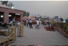 आजीविका ग्रीन मेला भोपाल हाट में 24 से 26 जनवरी तक