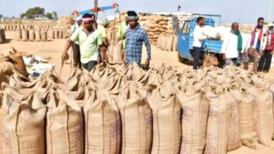 गत वर्ष से 8 लाख 22 हजार मीट्रिक टन अधिक हुई धान की खरीदी : खाद्य मंत्री राजपूत
