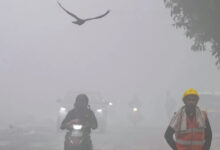 23-24 जनवरी को 10 जिलों में बारिश और कोहरे का अलर्ट, आज से बादलों की चादर में लिपटे होंगे इलाके