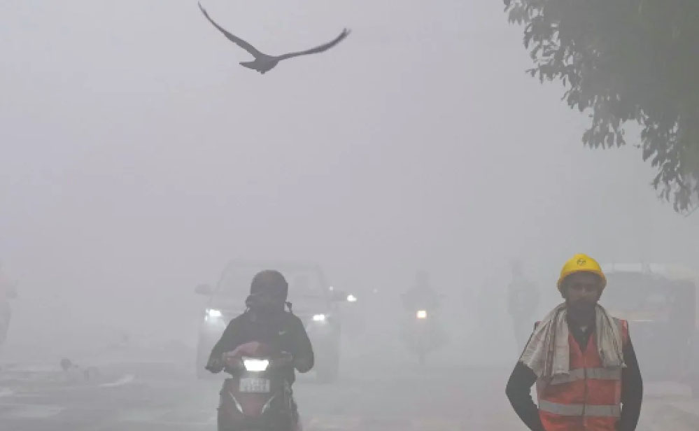 23-24 जनवरी को 10 जिलों में बारिश और कोहरे का अलर्ट, आज से बादलों की चादर में लिपटे होंगे इलाके