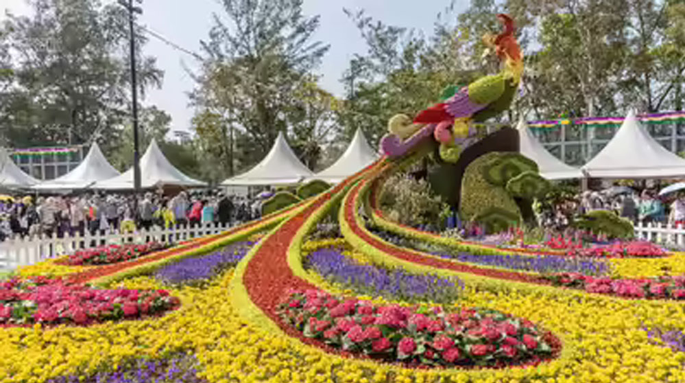 वाइब्रेंट की थीम पर होगा राज्य स्तरीय पुष्प महोत्सव, प्रदेश में उत्पादित फूलों की विभिन्न किस्मों का होगा प्रदर्शन