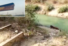 कोरबा में हुआ अनोखा चोरी का मामला, 60 फीट लंबा और 30 टन वजनी लोहे का पुल हुआ रातों-रात गायब