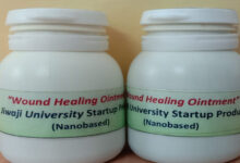 डायबिटीज मरीजों के घाव भर देगी हर्बल क्रीम, साइड इफेक्ट से मुक्त, ग्वालियर की डॉ. ललिता ने तैयार की