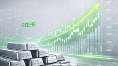 चांदी की कीमतों में उछाल, आज 13,000 रुपये चढ़कर 3,39,927 रुपये प्रति किलो पर पहुंची