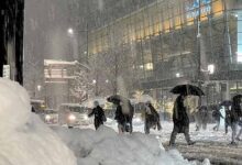 अमेरिका में बढ़ती ‘सफेद मौत’ की दहशत! 23 करोड़ लोग खतरे में, 10 मिनट में शरीर गल सकता है