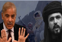 ‘बलूचिस्तान में चीन उतार सकता है सेना…’, बलूच नेता ने जयशंकर को किया आगाह