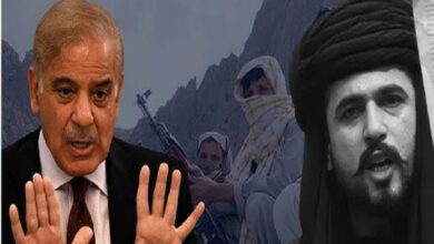 ‘बलूचिस्तान में चीन उतार सकता है सेना…’, बलूच नेता ने जयशंकर को किया आगाह