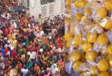 बरसाना में होली का रंगारंग आगाज़: 24 को लड्डू, 25 फरवरी को लठामार होली