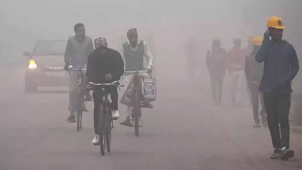 MP के 19 शहरों में कड़ाके की ठंड, राजगढ़ सबसे ठंडा: तापमान 3°C, सतना में दृश्यता सिर्फ 50 मीटर