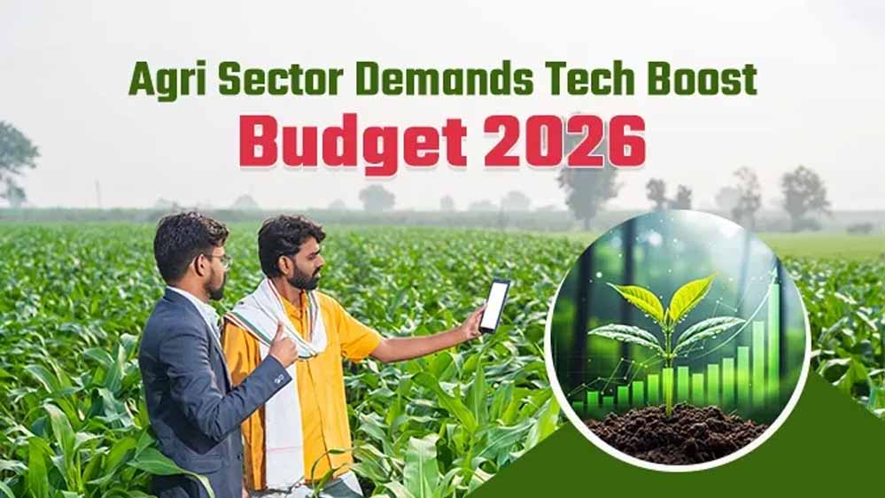 Budget 2026: क्या किसान सम्मान निधि बढ़ेगी? जानें कृषि सेक्टर की उम्मीदें Budget 2026: क्या किसान सम्मान निधि बढ़ेगी? जानें कृषि सेक्टर की उम्मीदें